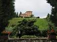 Best of Tuscany Hill Towns semi-private full day tour (Siena & San Gimignano)