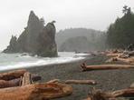 Best of Olympic National Park from Seattle: All-Inclusive Small-Group Day Tour