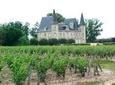 Saint Emilion Day Trip with Sightseeing Tour & Wine Tastings from Bordeaux