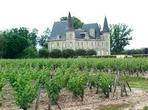 Saint Emilion Day Trip with Sightseeing Tour & Wine Tastings from Bordeaux