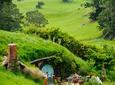Small-Group Hobbiton Movie Set Tour from Auckland with Lunch