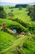 Small-Group Hobbiton Movie Set Tour from Auckland with Lunch
