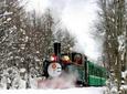 Tierra del Fuego National Park Half-Day Tour with Optional End of the World Train Ride