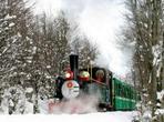 Tierra del Fuego National Park Half-Day Tour with Optional End of the World Train Ride