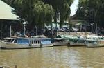Tigre Delta Half-Day Tour & Cruise from Buenos Aires