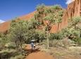 Full Uluru Base Walk at Sunrise Including breakfast