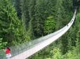North Shore Day Trip from Vancouver: Capilano Suspension Bridge & Grouse Mtn