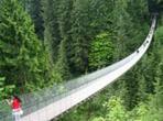 North Shore Day Trip from Vancouver: Capilano Suspension Bridge & Grouse Mtn