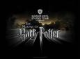 Warner Bros. Studio Tour London - The Making of Harry Potter with Transportation