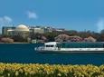 Washington DC Premier Brunch Cruise