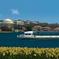 Washington DC Premier Brunch Cruise