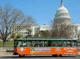 Washington DC Sightseeing Trolley Tour with 1 Stop