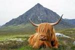 Oban, Glencoe, Highlands Lochs & Castles Small Group Day Tour from Glasgow