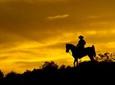 Wild West Sunset Horseback Ride with Dinner from Las Vegas