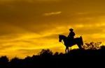 Wild West Sunset Horseback Ride with Dinner from Las Vegas