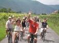 Wachau Valley Wine Tasting Bike Tour from Vienna