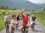 Wachau Valley Wine Tasting Bike Tour from Vienna