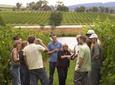 Yarra Valley Wine and Winery Tour from Melbourne