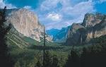 Yosemite National Park - Full Day Tour from San Francisco
