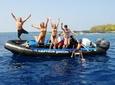 Kealakekua Bay Snorkeling Tour - 4 hour Kona Zodiac Adventure