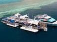 2-Day Great Barrier Reef "Reefsleep" Experience