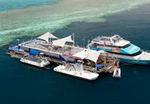 2-Day Great Barrier Reef "Reefsleep" Experience