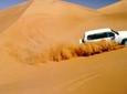 Abu Dhabi Evening Desert Safari with BBQ Dinner and all Camp Activities 