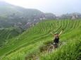 7-Day Guilin & Longji Rice Terraces Bike Adventure