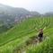 7-Day Guilin & Longji Rice Terraces Bike Adventure