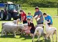 Agrodome Sheep Show and Farm Tour - Rotorua