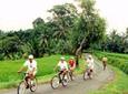 Bali Eco Cycling Tour