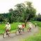 Bali Eco Cycling Tour