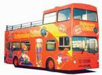 City Sightseeing Belfast Hop-On Hop-Off Bus Tour