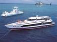 Cairns Super Saver: Great Barrier Reef Cruise plus Kuranda Scenic Railway plus Cape Tribulation Day Trip