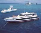 Cairns Super Saver: Great Barrier Reef Cruise plus Kuranda Scenic Railway plus Cape Tribulation Day Trip