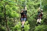 Outdoor Ziplining and UTV Adventure from Los Cabos