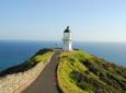 Cape Reinga Half-Day Tour Including Scenic Flight