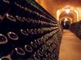 Cavas Freixenet Wine Tour from Mexico City