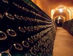 Cavas Freixenet Wine Tour from Mexico City