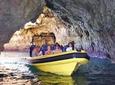 Caves and Dolphin Watching Cruise from Albufeira