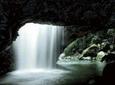Natural Bridge Glow Worm Night Tour from Gold Coast