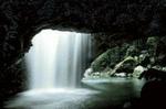 Natural Bridge Glow Worm Night Tour from Gold Coast