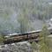 Grand Canyon Railroad Excursion from Sedona