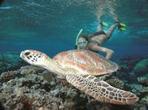 Great Barrier Reef Sailing and Snorkeling Cruise from Port Douglas