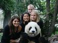 Private Half-Day Chengdu Panda Breeding Center Tour with Optional Volunteer