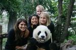 Private Half-Day Chengdu Panda Breeding Center Tour with Optional Volunteer