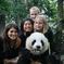 Private Half-Day Chengdu Panda Breeding Center Tour with Optional Volunteer