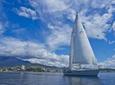 Half-Day Sailing on the Derwent River from Hobart