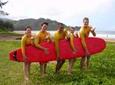 Kauai Learn to Surf Private /semi privates (2 or 3) /Full group (4)Lessons