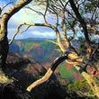 Kauai Waimea Canyon Experience